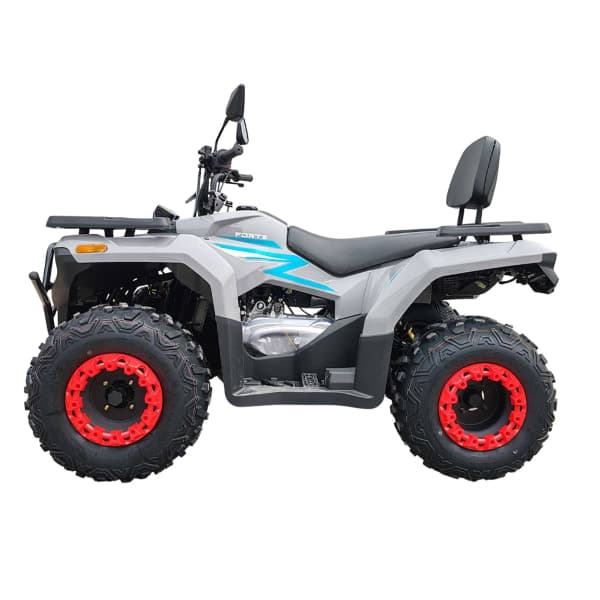Квадроцикл Forte ATV-200BS-К Сірий - зображення 1