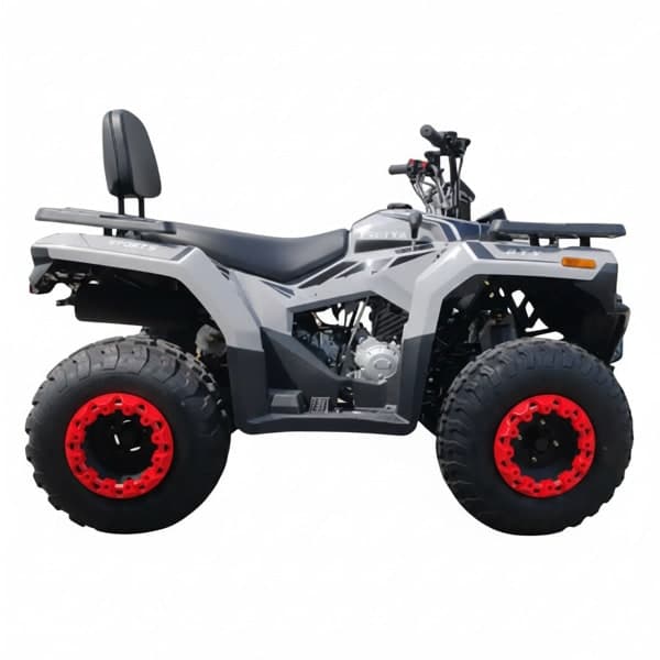 Квадроцикл Forte ATV-200BS PRO Сірий - зображення 1