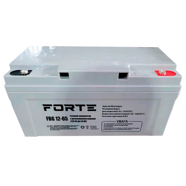 Акумулятор гелевий FBG12-65 Forte - зображення 1