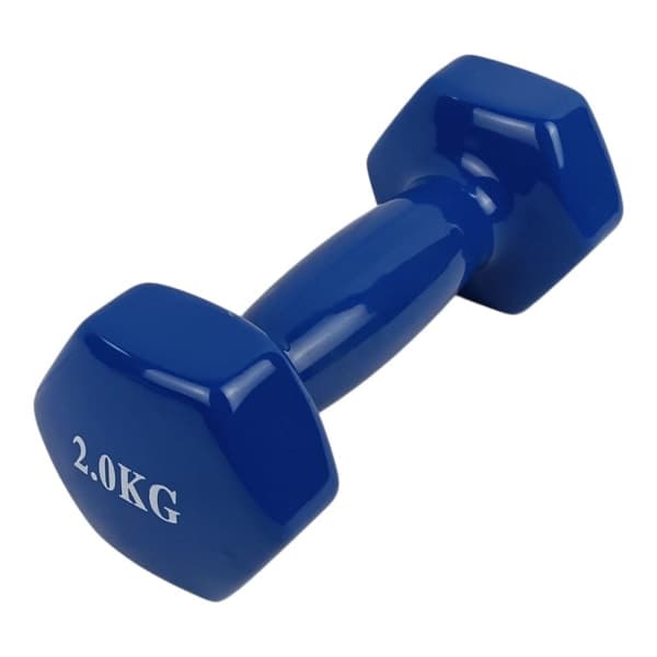 Гантелі для фітнесу XTDBH-2B вінілові цілі 2 кг X-TREME - зображення 1