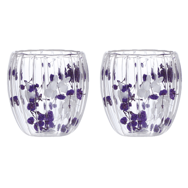 Набір склянок VT-5414-250 Квіткова тиша з подвійним дном 2шт. 250мл Vittora - зображення 1
