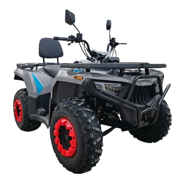 Квадроцикл Forte ATV-200BS-К PRO Сірий - зображення 1