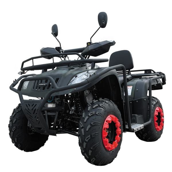 Квадроцикл FORTE ATV-200BS Чорний - зображення 1