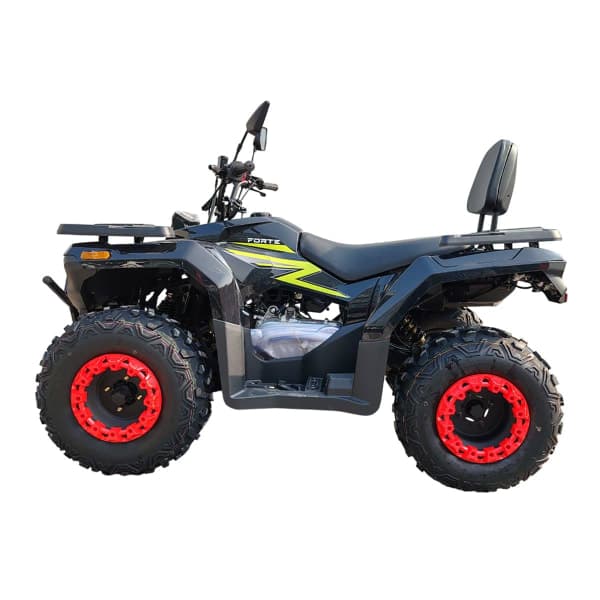 Квадроцикл Forte ATV-200BS-К PRO Чорно-Зелений - зображення 1