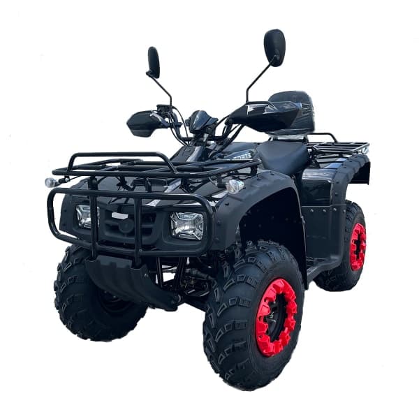 Квадроцикл FORTE ATV-250BS Чорний - зображення 1