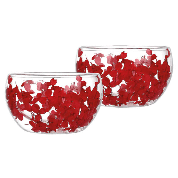 Набір салатників VT-3101-300 з подвійним дном Сяйво кохання Vittora (2шт) 300мл - зображення 1