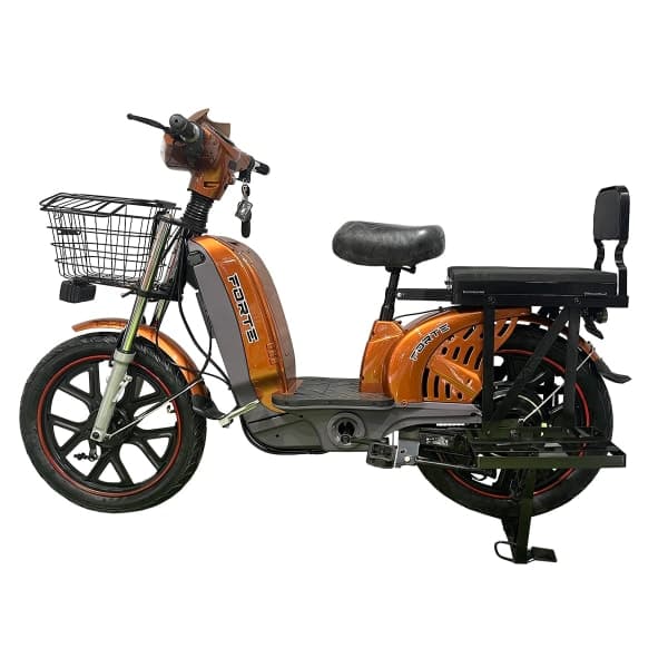 Велоскутер акумуляторний EM 219WS Forte Коричневий - зображення 1