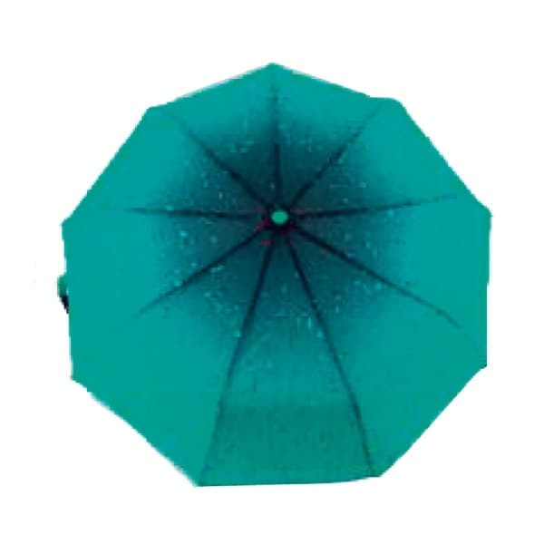 Напівавтоматична жіноча парасолька UAO-1005RH-8GW Grunhelm - зображення 1