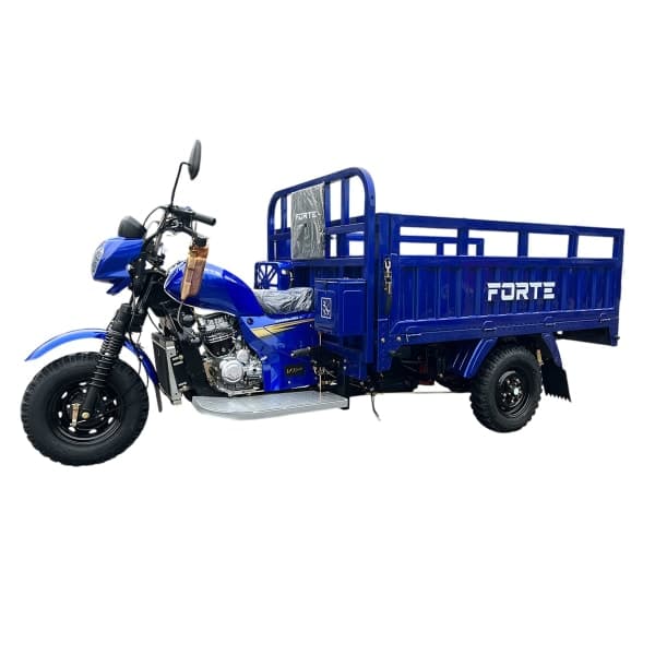 Мотоцикл вантажний CT-252 Forte Синій - зображення 1