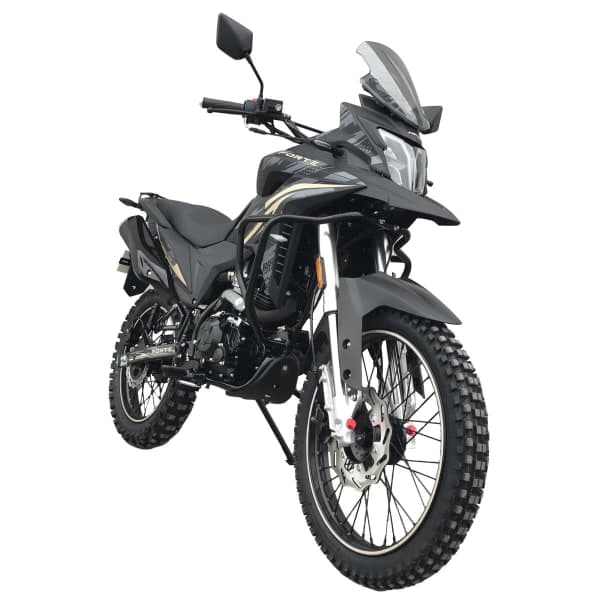 Мотоцикл Forte FT300GY-C5K Чорний - зображення 1