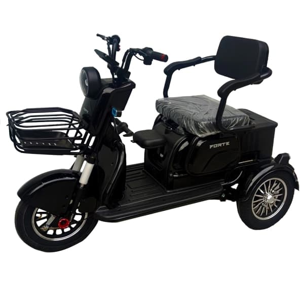 Електроскутер FORTE FAMILY MAX чорний - зображення 1