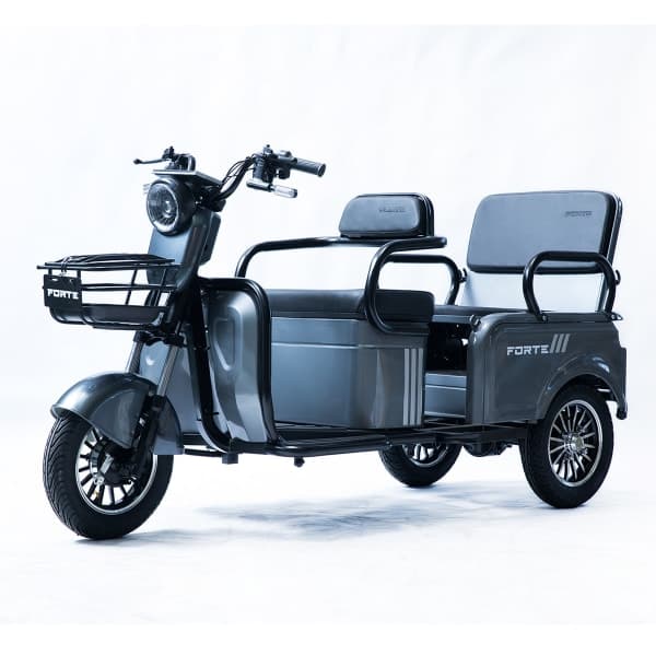 Трицикл акумуляторний Forte CARGO-WN800 Сірий - зображення 1