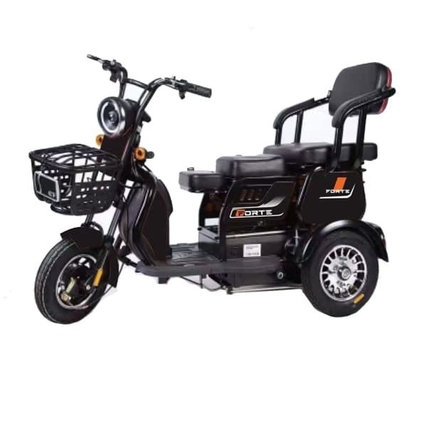 Трицикл акумуляторний Forte FAMILY-WN600 чорний - зображення 1