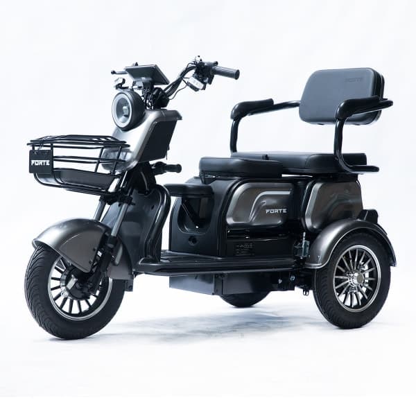 Трицикл акумуляторний Forte Family-P1000 Сірий - зображення 1