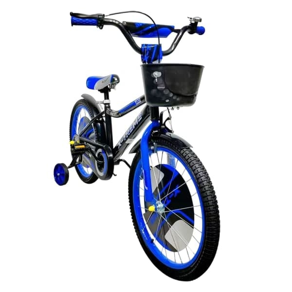 Дитячий велосипед X-Treme ROCKY 25.16-04 чорно-синій - зображення 1